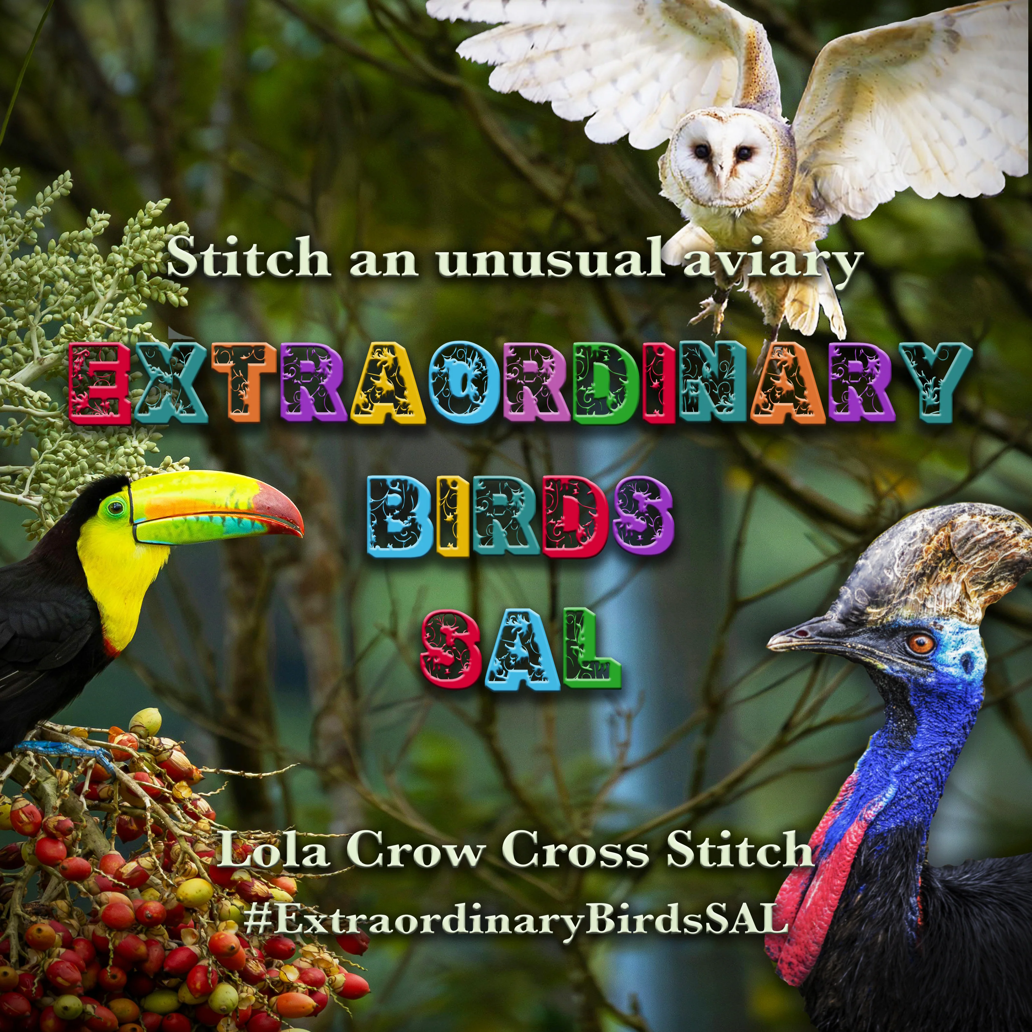 Extraordinary Birds Stitch Along - Digital PDF Cross Stitch Pattern - Image 16