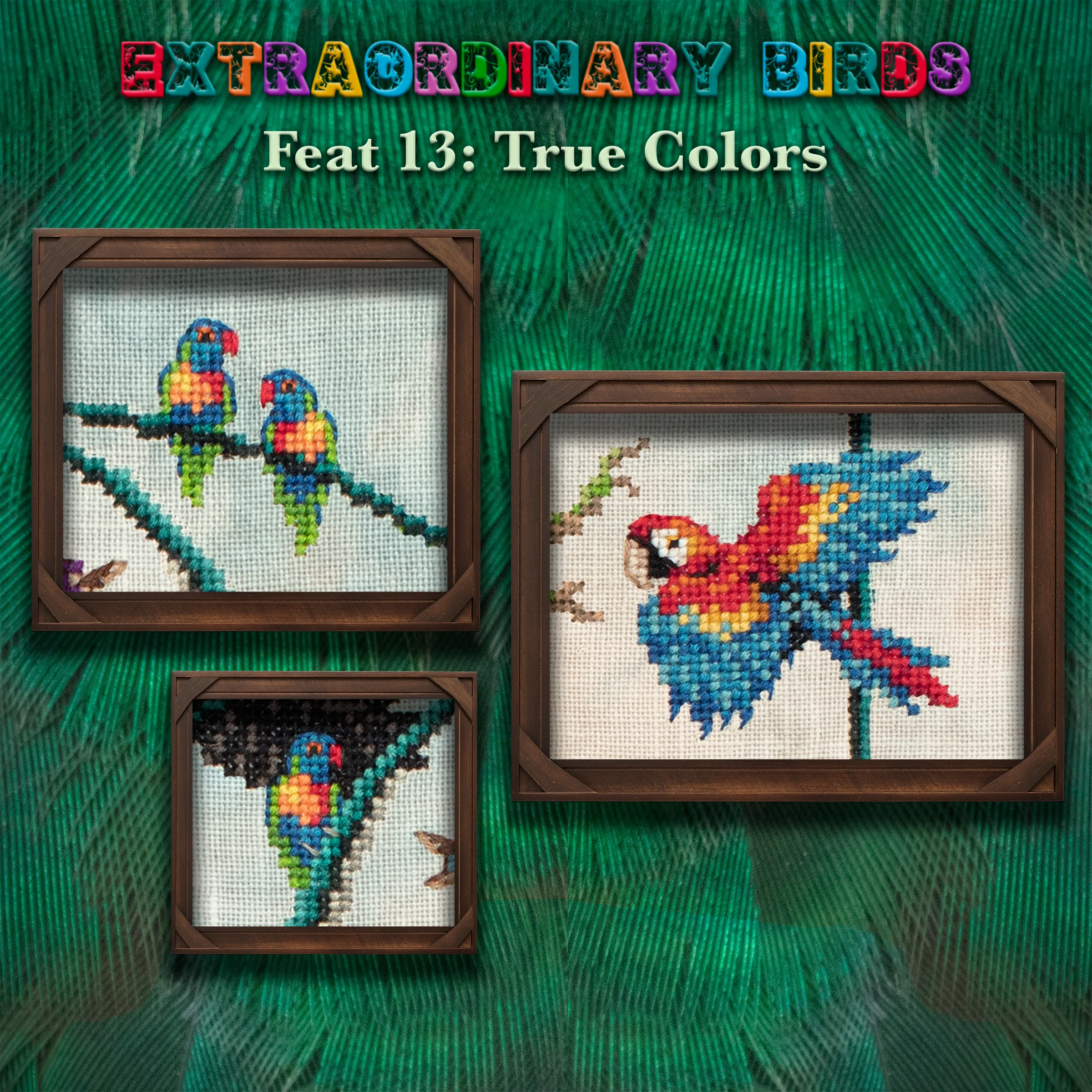 Extraordinary Birds Stitch Along - Digital PDF Cross Stitch Pattern - Image 3