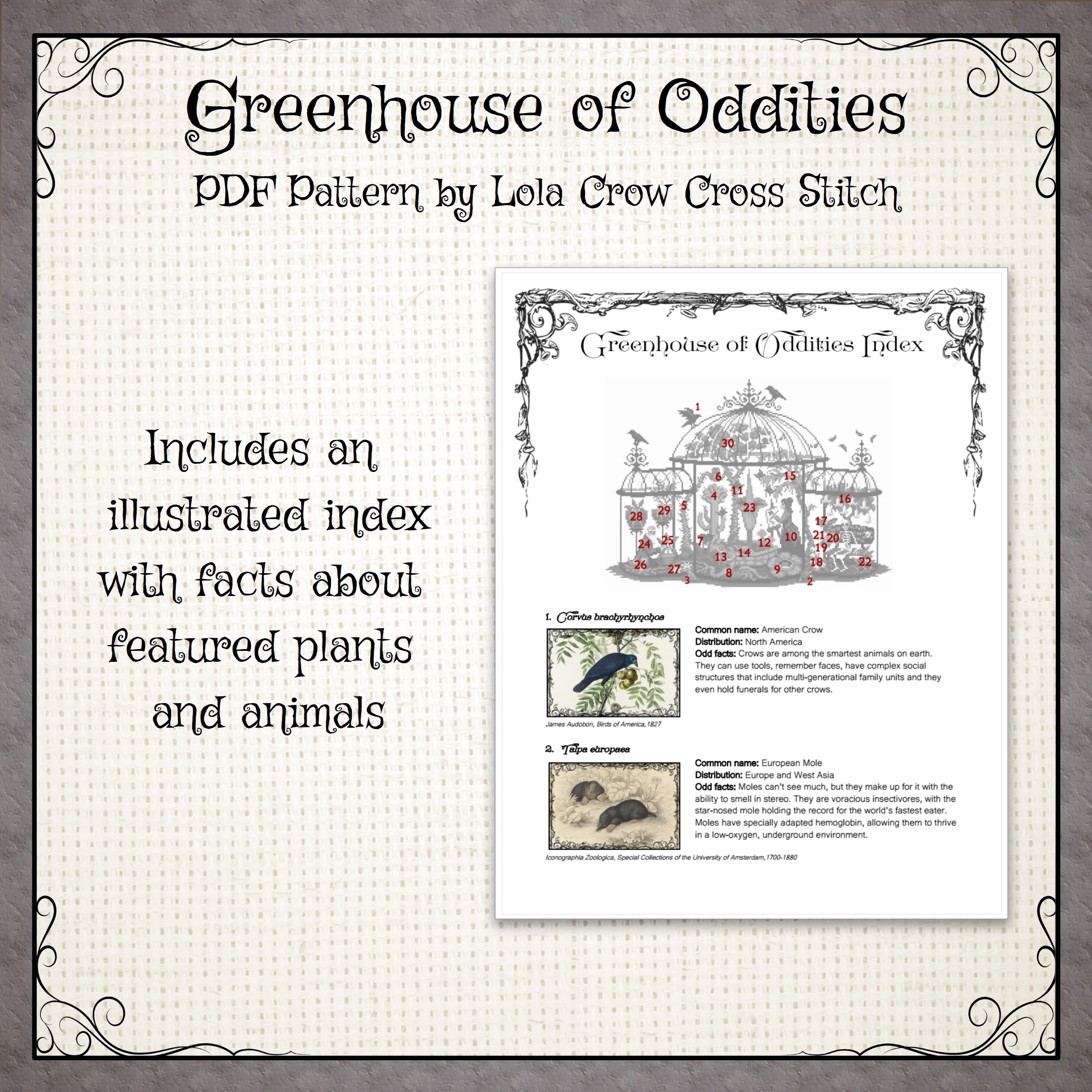 Greenhouse of Oddities - Digital PDF Cross Stitch Pattern - Image 3